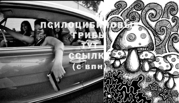 MESCALINE Богородицк